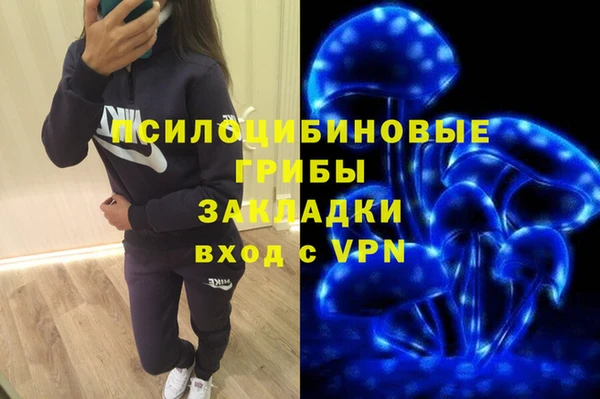 стаф Баксан