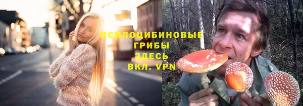 прущая мука Балахна