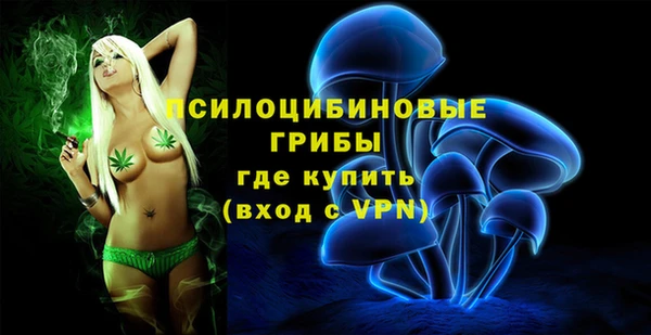 стафф Балабаново