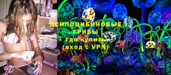 стаф Баксан