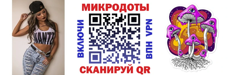 Галлюциногенные грибы Psilocybe  купить закладку  Шагонар 