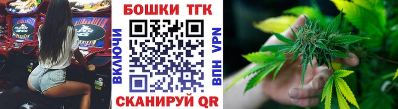 Марихуана план  продажа наркотиков  Шагонар 